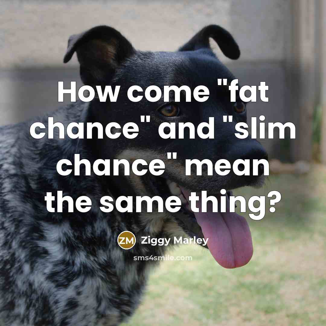 “How come "fat chance" and "slim chance" mean the same…” quote by Ziggy Marley