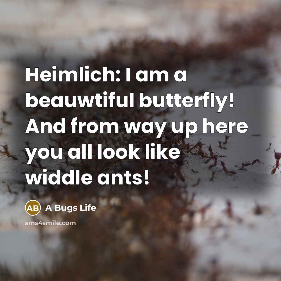 “Heimlich: I am a beauwtiful butterfly! And from way up here you all look like widdle ants!” quote by A Bugs Life