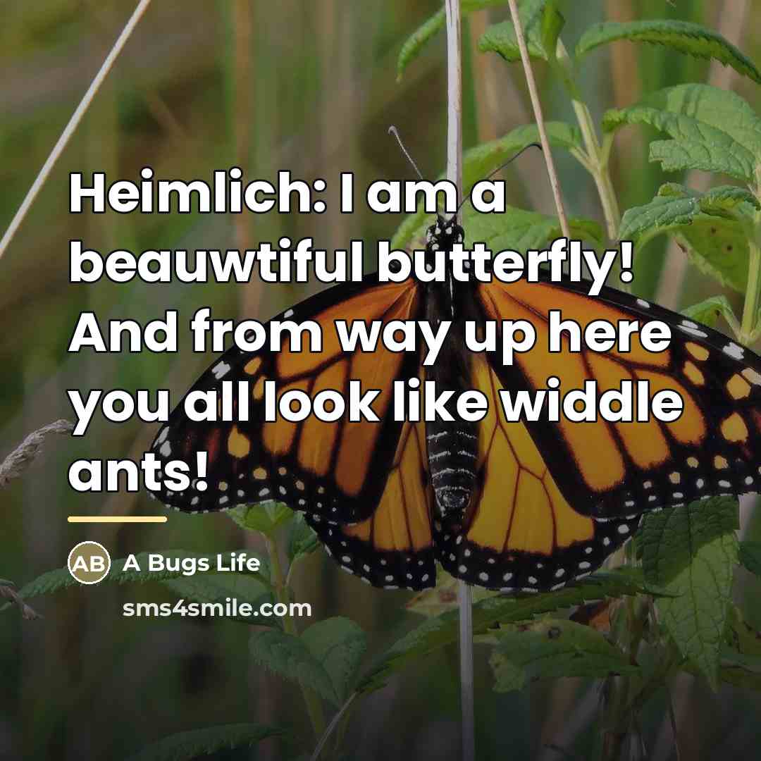 “Heimlich: I am a beauwtiful butterfly! And from way up…” quote by A Bugs Life