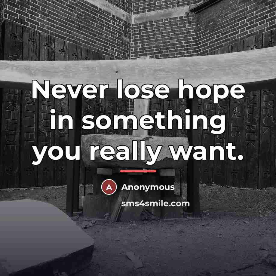 “Never lose hope in something you really want.…” quote by Anonymous