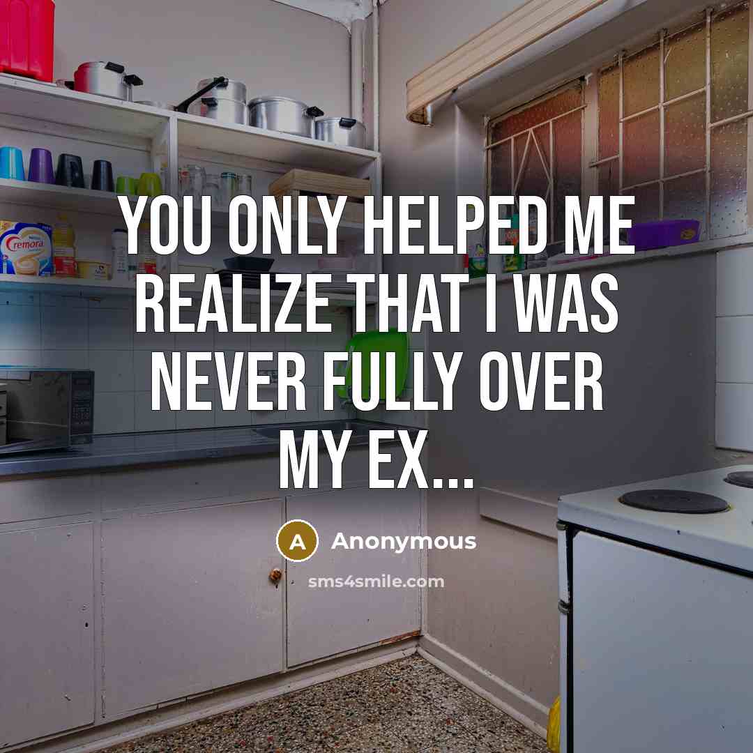 “You only helped me realize that I was never fully over my ex...” quote by Anonymous