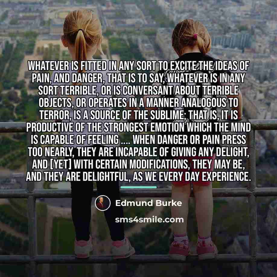 “Whatever is fitted in any sort to excite the ideas…” quote by Edmund Burke