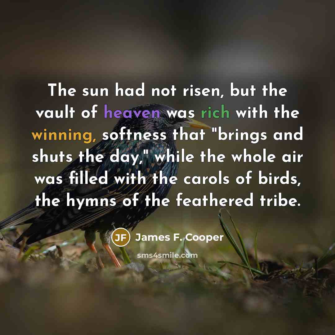 “The sun had not risen, but the vault of heaven…” quote by James F. Cooper