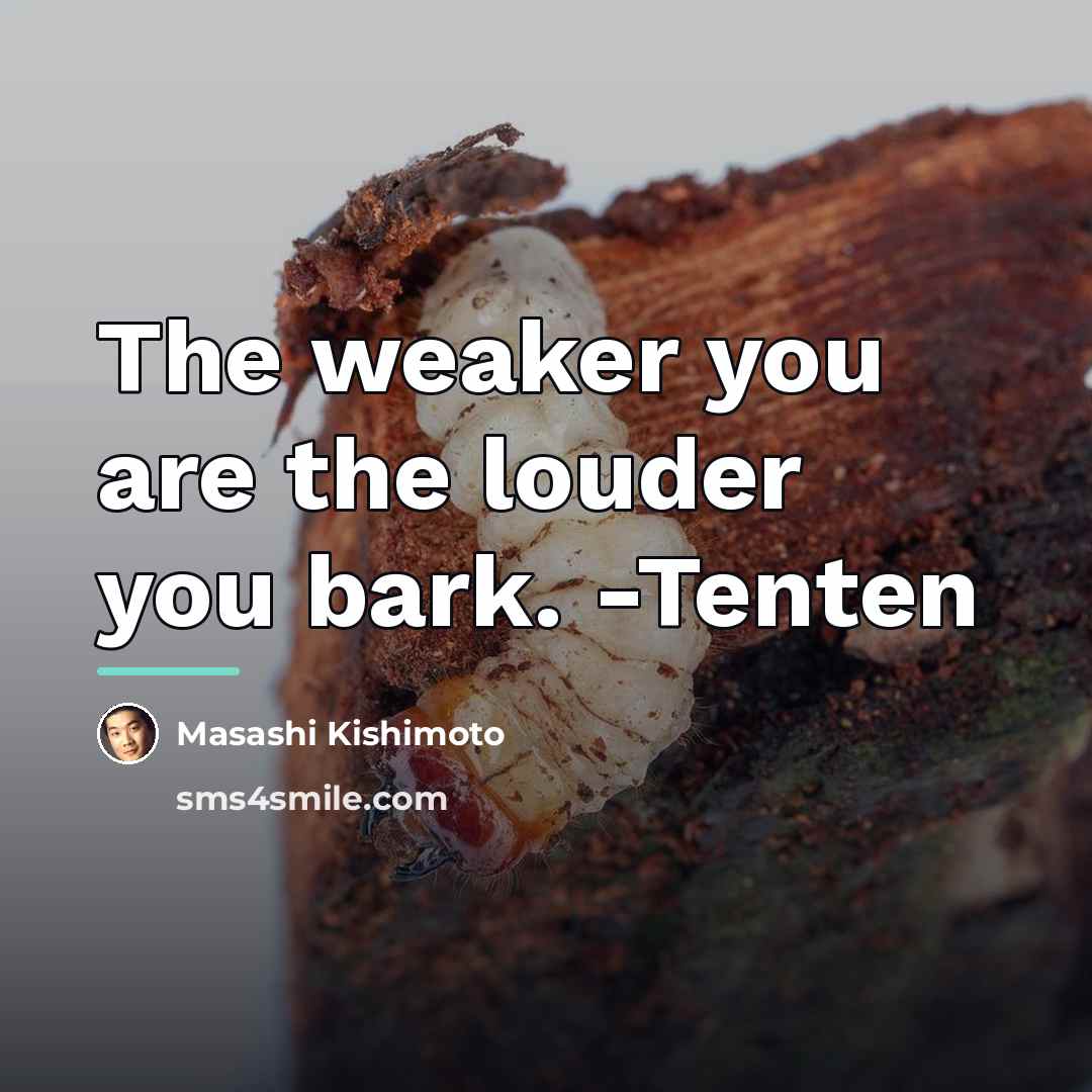 “The weaker you are the louder you bark. -Tenten…” quote by Masashi Kishimoto