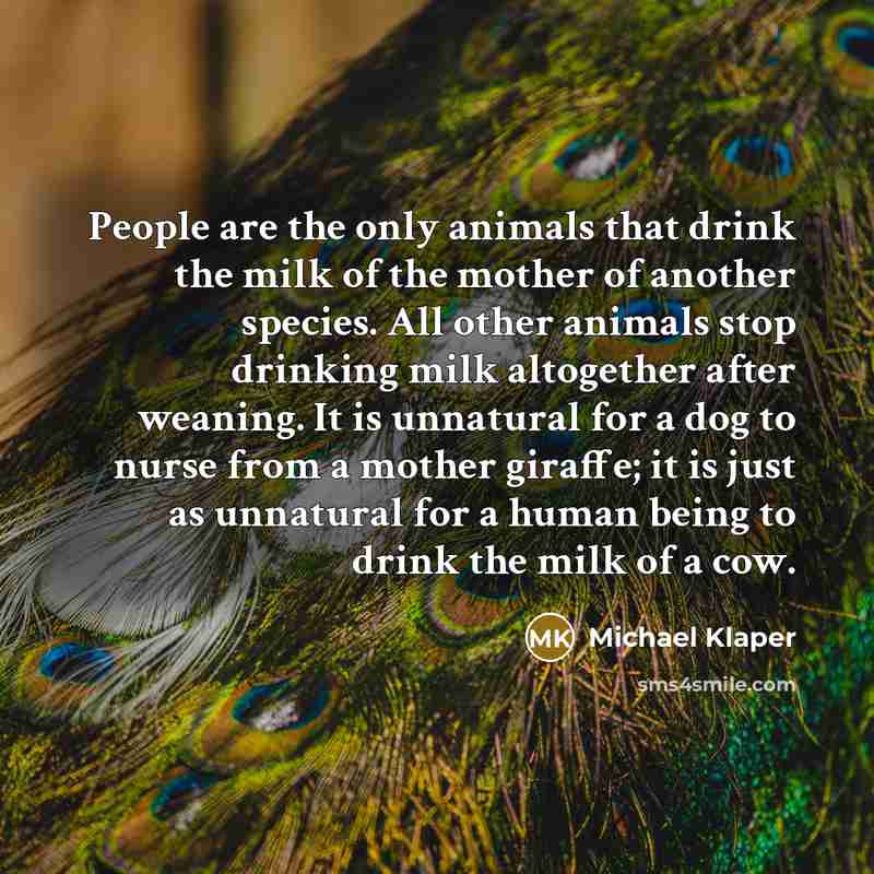 “People are the only animals that drink the milk of…” quote by Michael Klaper