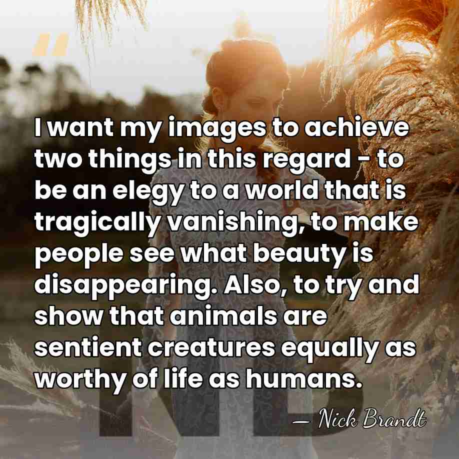 I want my images to achieve two things in this regard -&hellip; - Nick Brandt