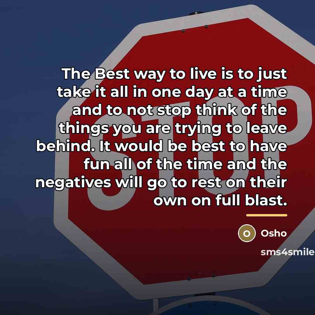 “The Best way to live is to just take it…” quote by Osho