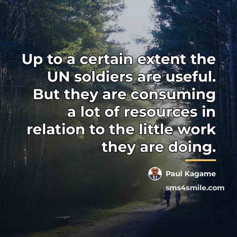 “Up to a certain extent the UN soldiers are useful.…” quote by Paul Kagame