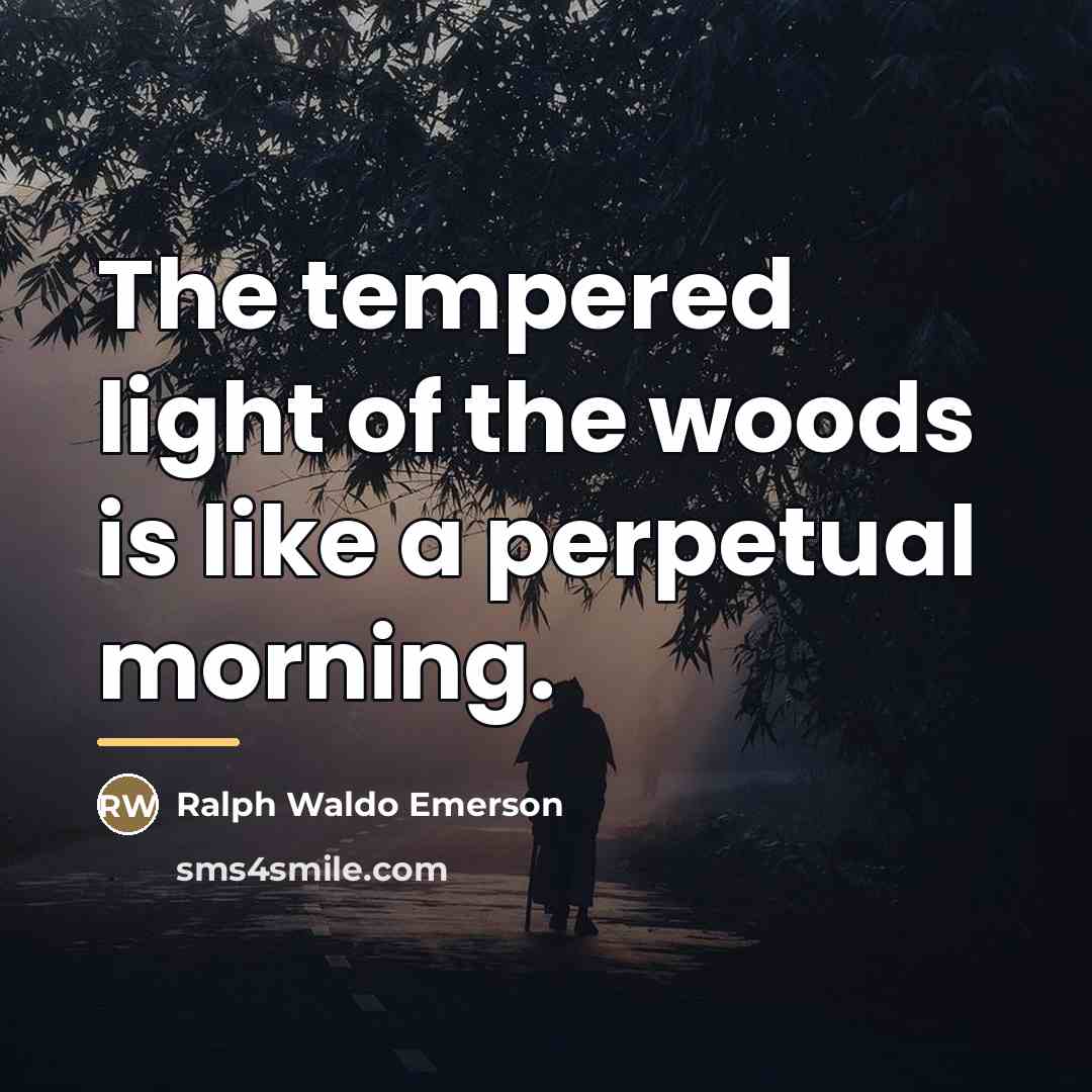 “The tempered light of the woods is like a perpetual…” quote by Ralph Waldo Emerson