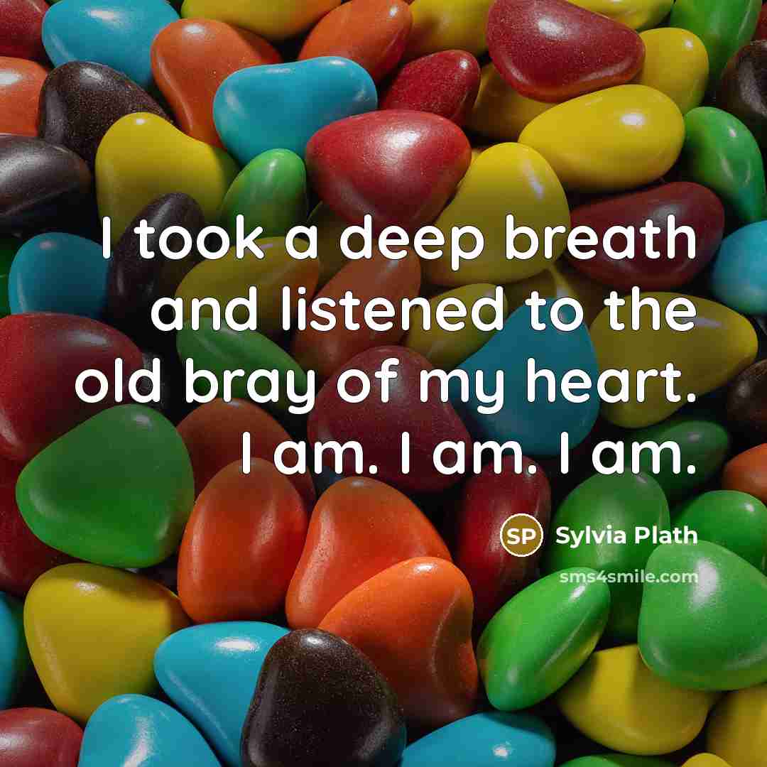 “I took a deep breath and listened to the old…” quote by Sylvia Plath
