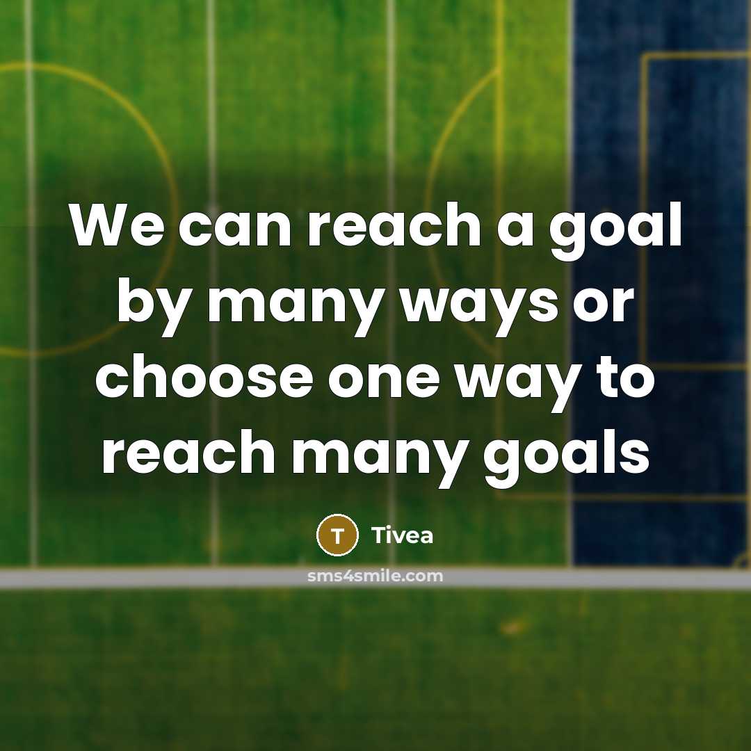 “We can reach a goal by many ways or choose…” quote by Tivea