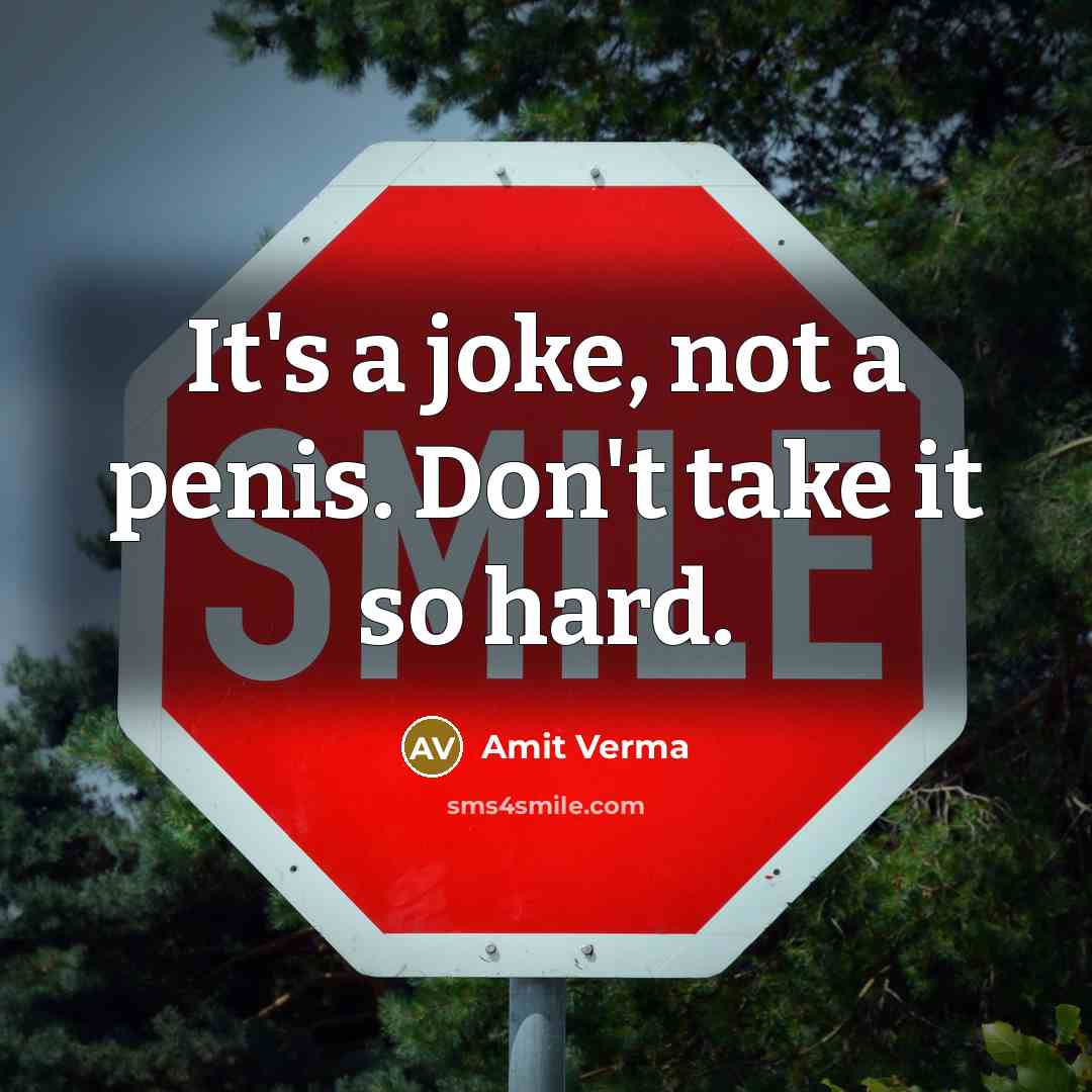 “It's a joke, not a penis. Don't take it so…” quote by Amit Verma