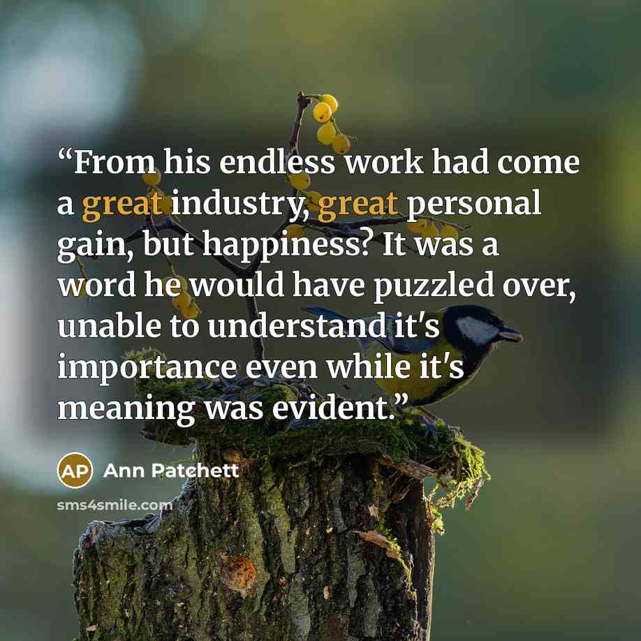 “From his endless work had come a great industry, great personal gain, but happiness? It was a word he would have puzzled over, unable to understand it's importance even while it's meaning was evident.” quote by Ann Patchett