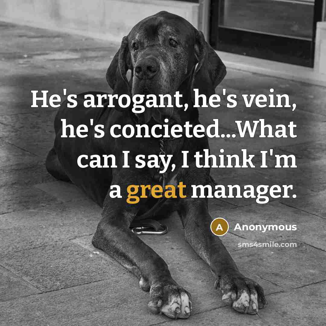 “He's arrogant, he's vein, he's concieted...What can I say, I think I'm a great manager.” quote by Anonymous