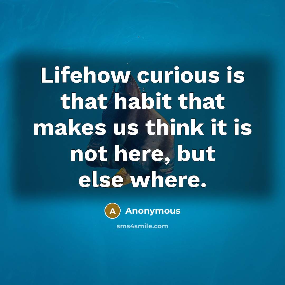 “Lifehow curious is that habit that makes us think it is not here, but else where.” quote by Anonymous