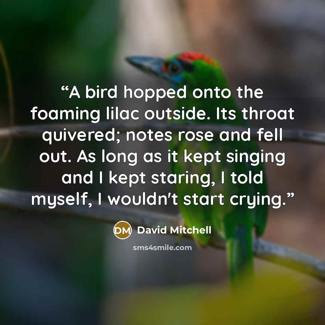 “A bird hopped onto the foaming lilac outside. Its throat quivered; notes rose and fell out. As long as it kept singing and I kept staring, I told myself, I wouldn't start crying.” quote by David Mitchell