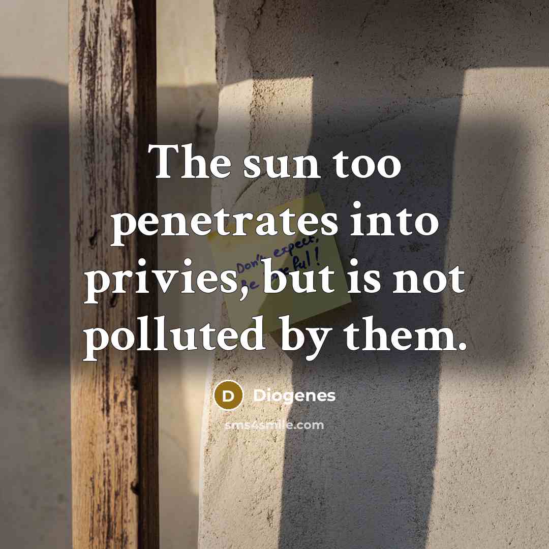 “The sun too penetrates into privies, but is not polluted by them.” quote by Diogenes
