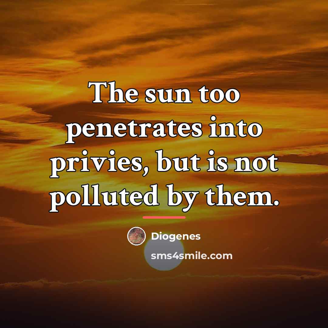 “The sun too penetrates into privies, but is not polluted…” quote by Diogenes