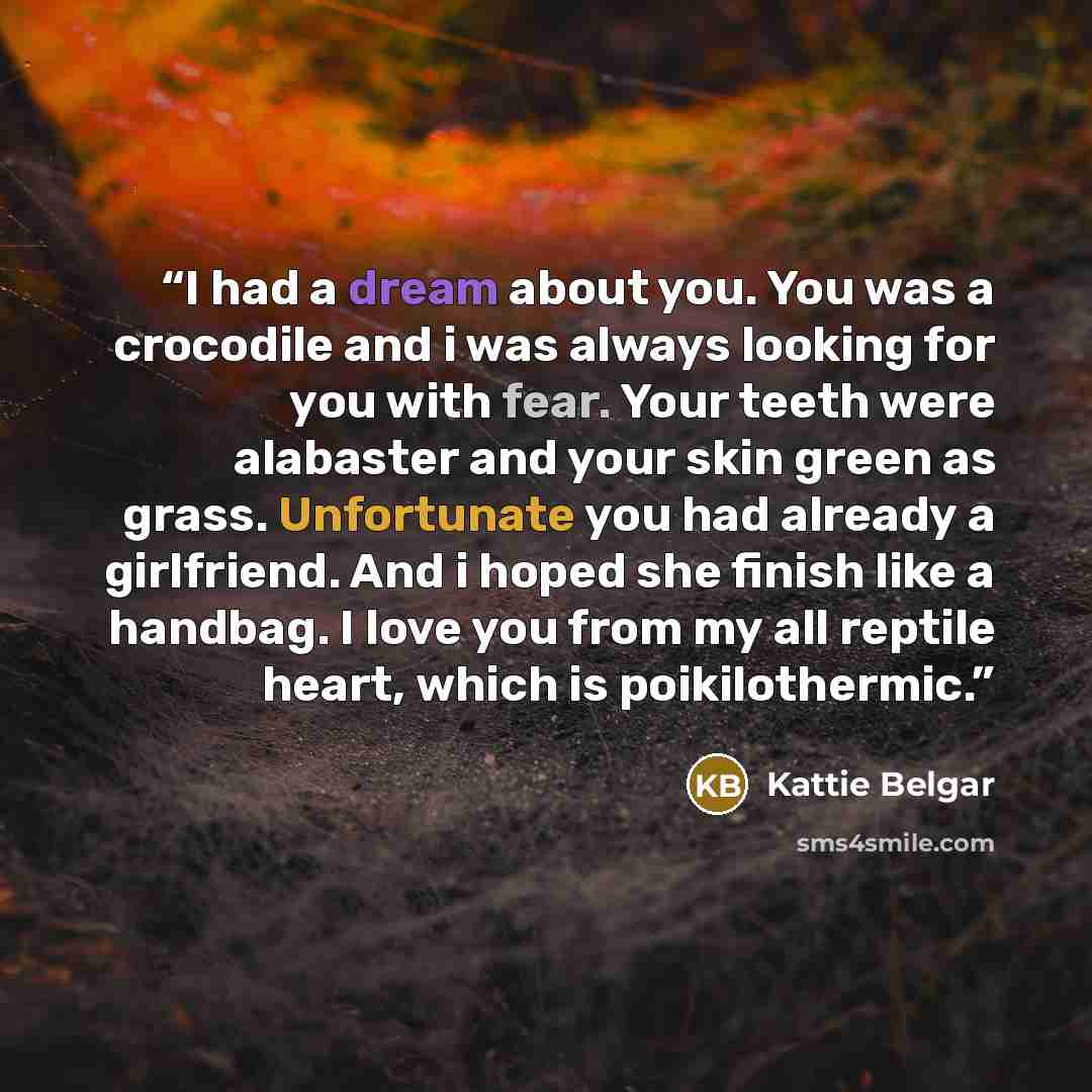 “I had a dream about you. You was a crocodile and i was always looking for you with fear. Your teeth were alabaster and your skin green as grass. Unfortunate you had already a girlfriend. And i hoped she finish like a handbag. I love you from my all reptile heart, which is poikilothermic.” quote by Kattie Belgar