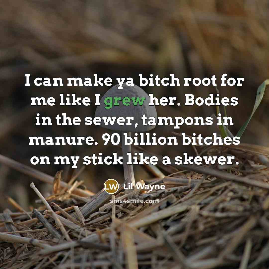 “I can make ya bitch root for me like I grew her. Bodies in the sewer, tampons in manure. 90 billion bitches on my stick like a skewer.” quote by Lil Wayne