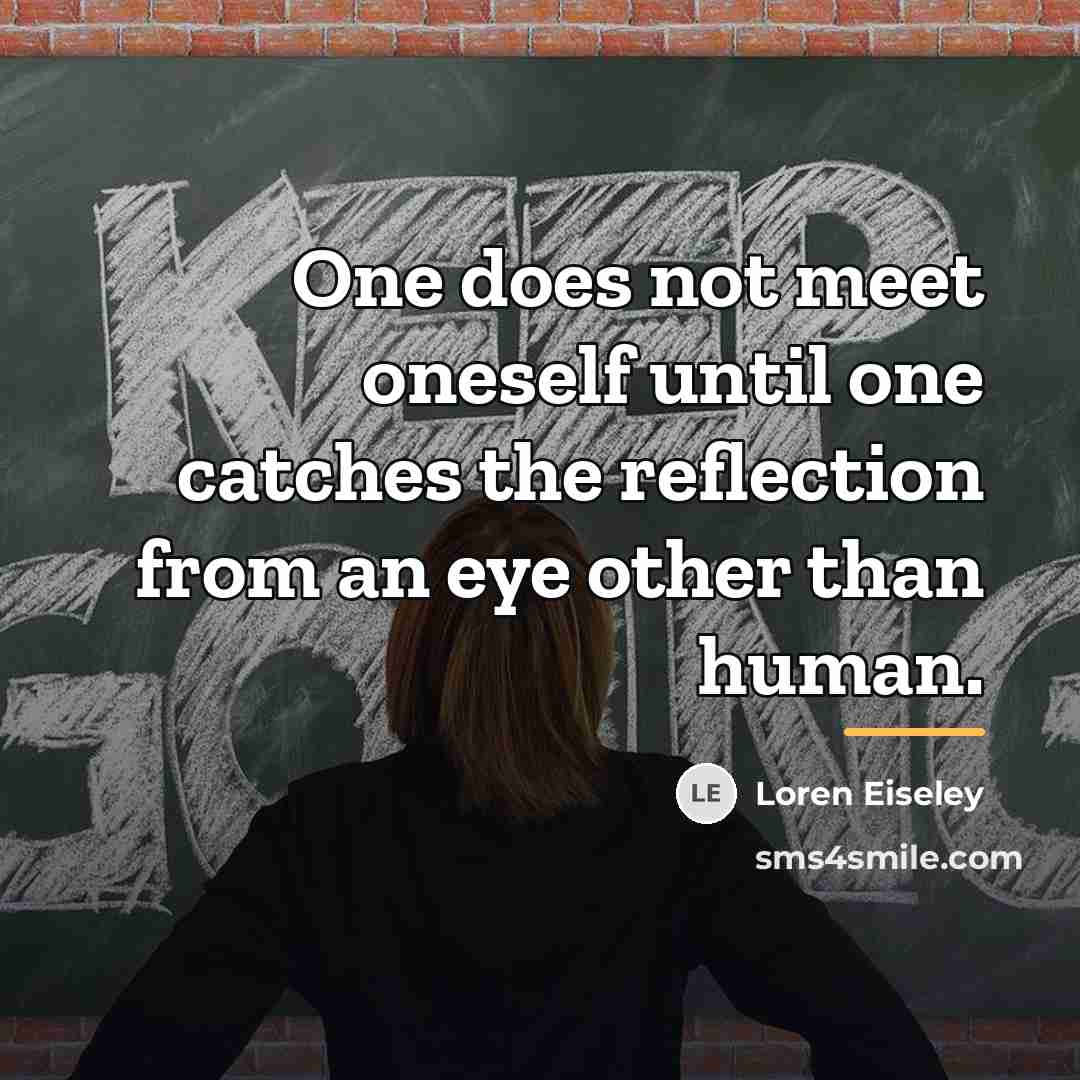 “One does not meet oneself until one catches the reflection…” quote by Loren Eiseley