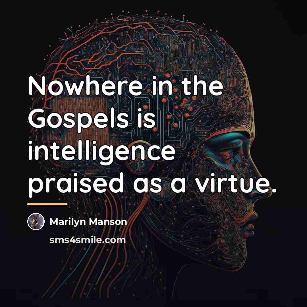 “Nowhere in the Gospels is intelligence praised as a virtue.…” quote by Marilyn Manson