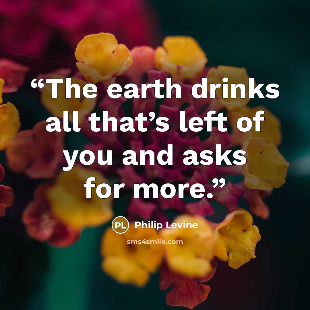“The earth drinks all that’s left of you and asks for more.” quote by Philip Levine