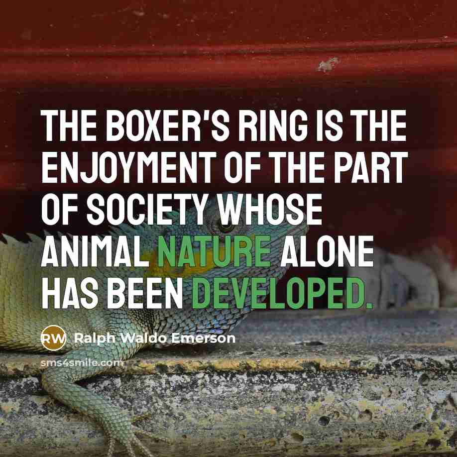 “The boxer's ring is the enjoyment of the part of…” quote by Ralph Waldo Emerson
