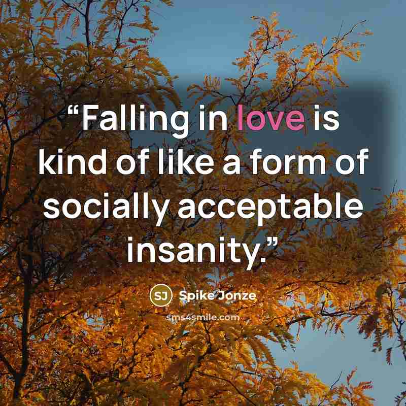 “Falling in love is kind of like a form of socially acceptable insanity.” quote by Spike Jonze