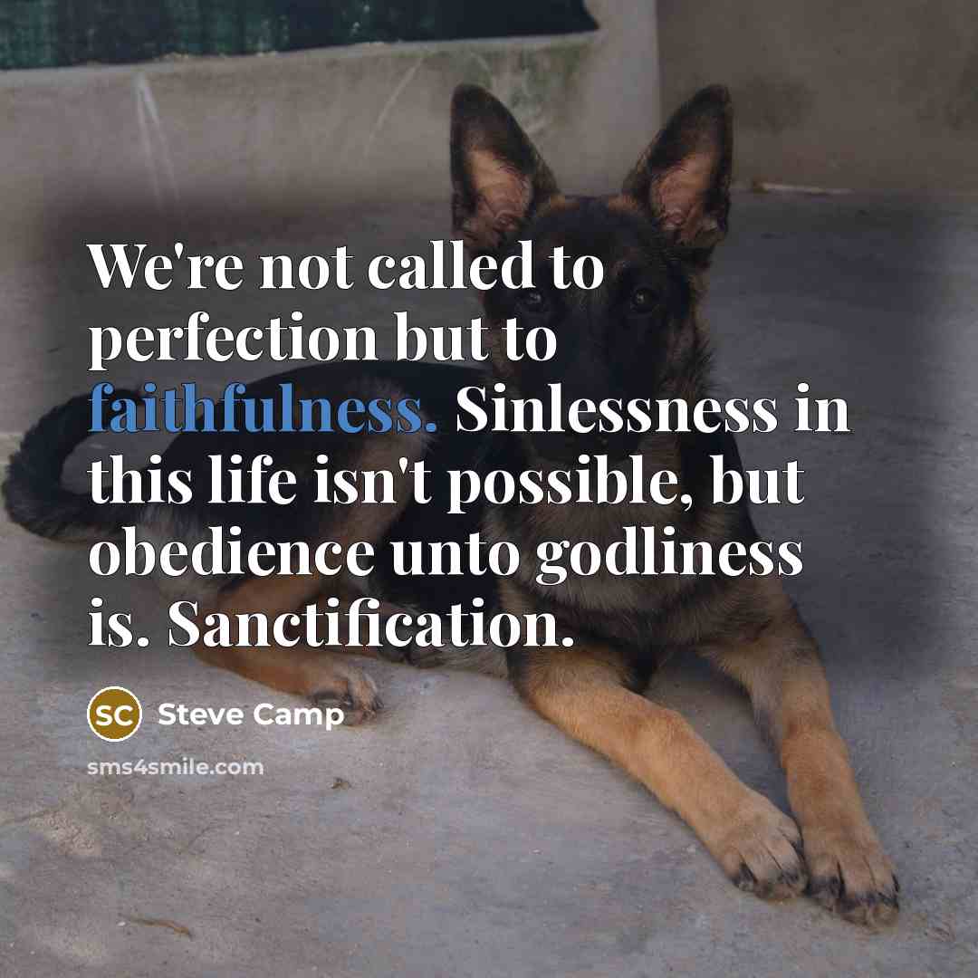 “We're not called to perfection but to faithfulness. Sinlessness in…” quote by Steve Camp