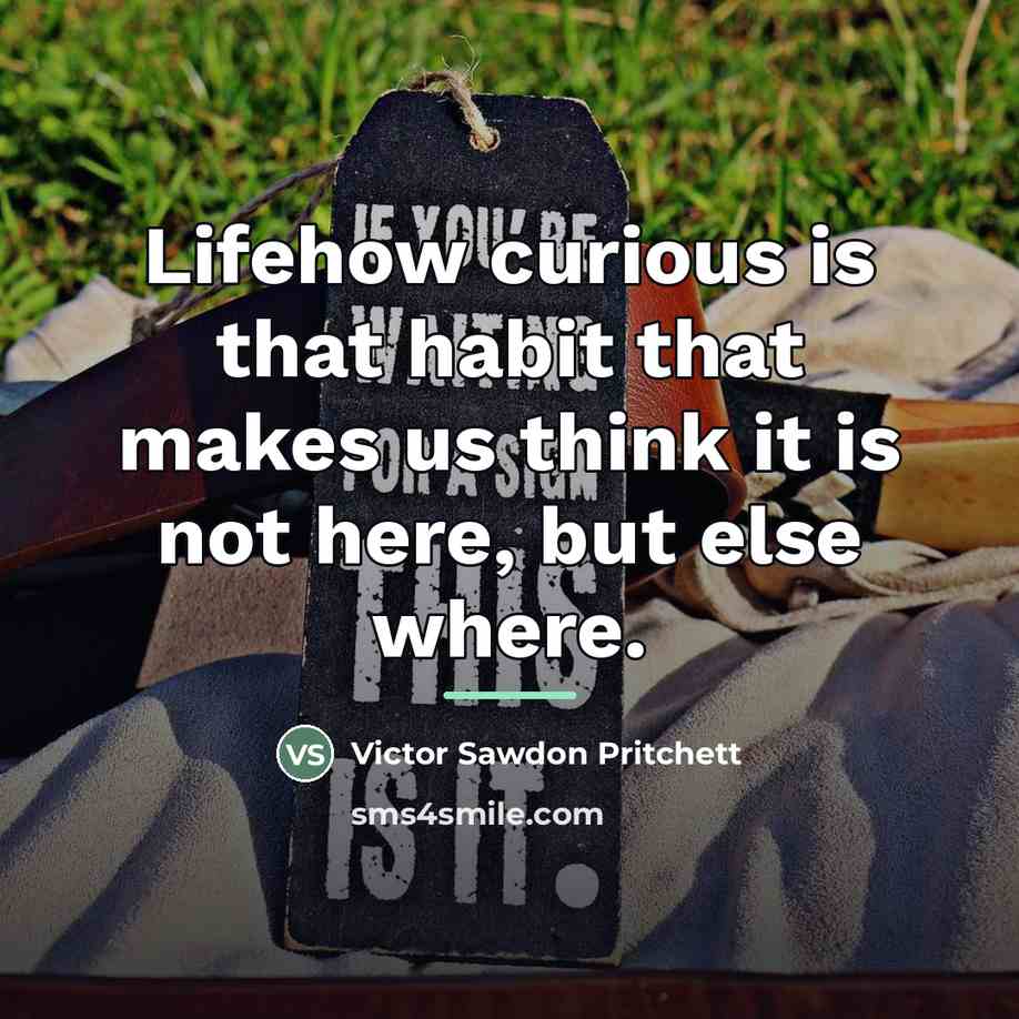 “Lifehow curious is that habit that makes us think it…” quote by Anonymous