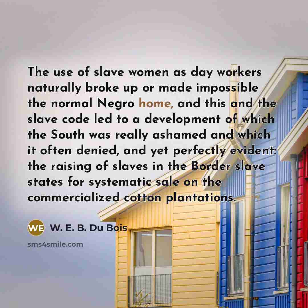 “The use of slave women as day workers naturally broke…” quote by W. E. B. Du Bois