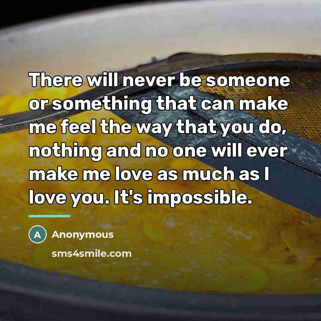 “There will never be someone or something that can make…” quote by Anonymous