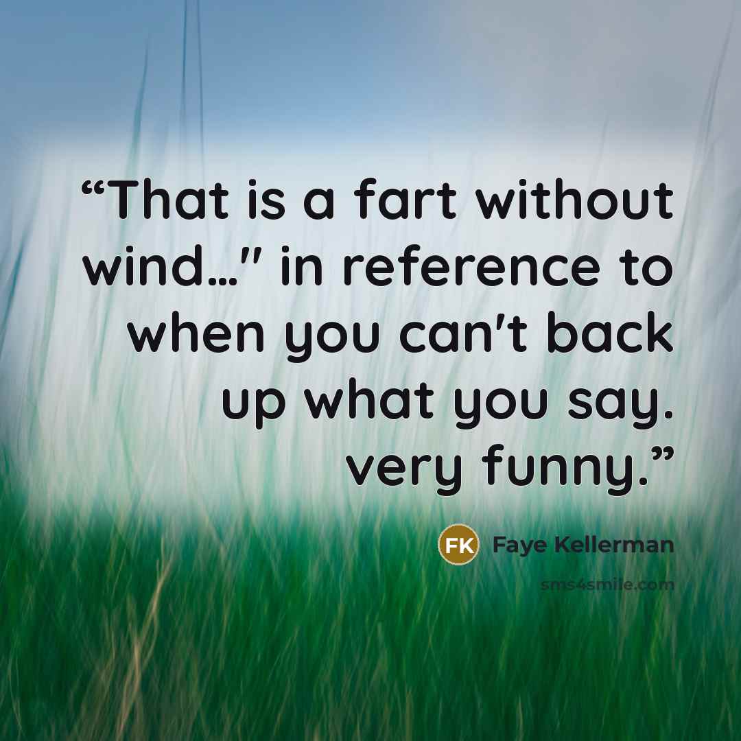 “That is a fart without wind…" in reference to when you can't back up what you say. very funny.” quote by Faye Kellerman
