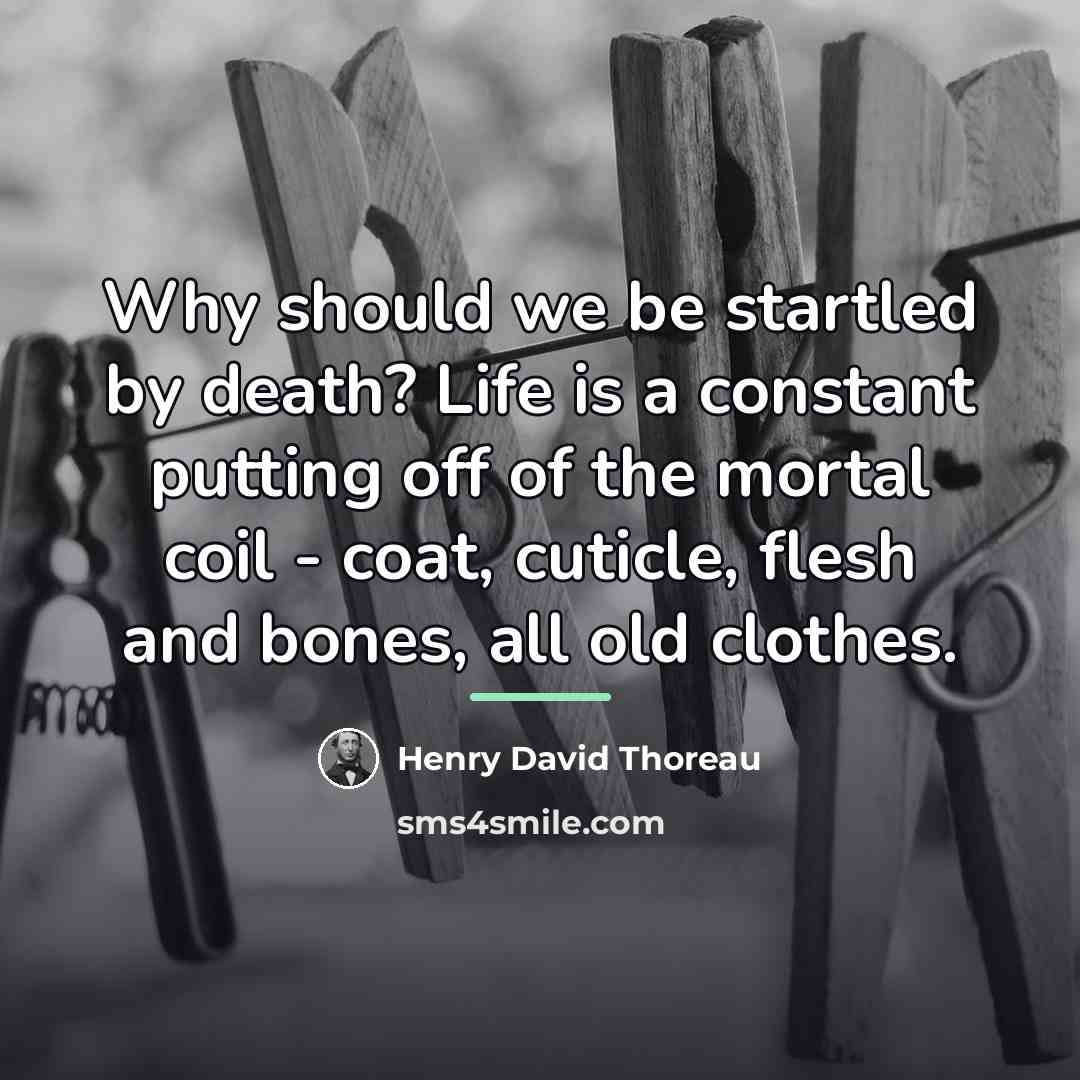 “Why should we be startled by death? Life is a…” quote by Henry David Thoreau