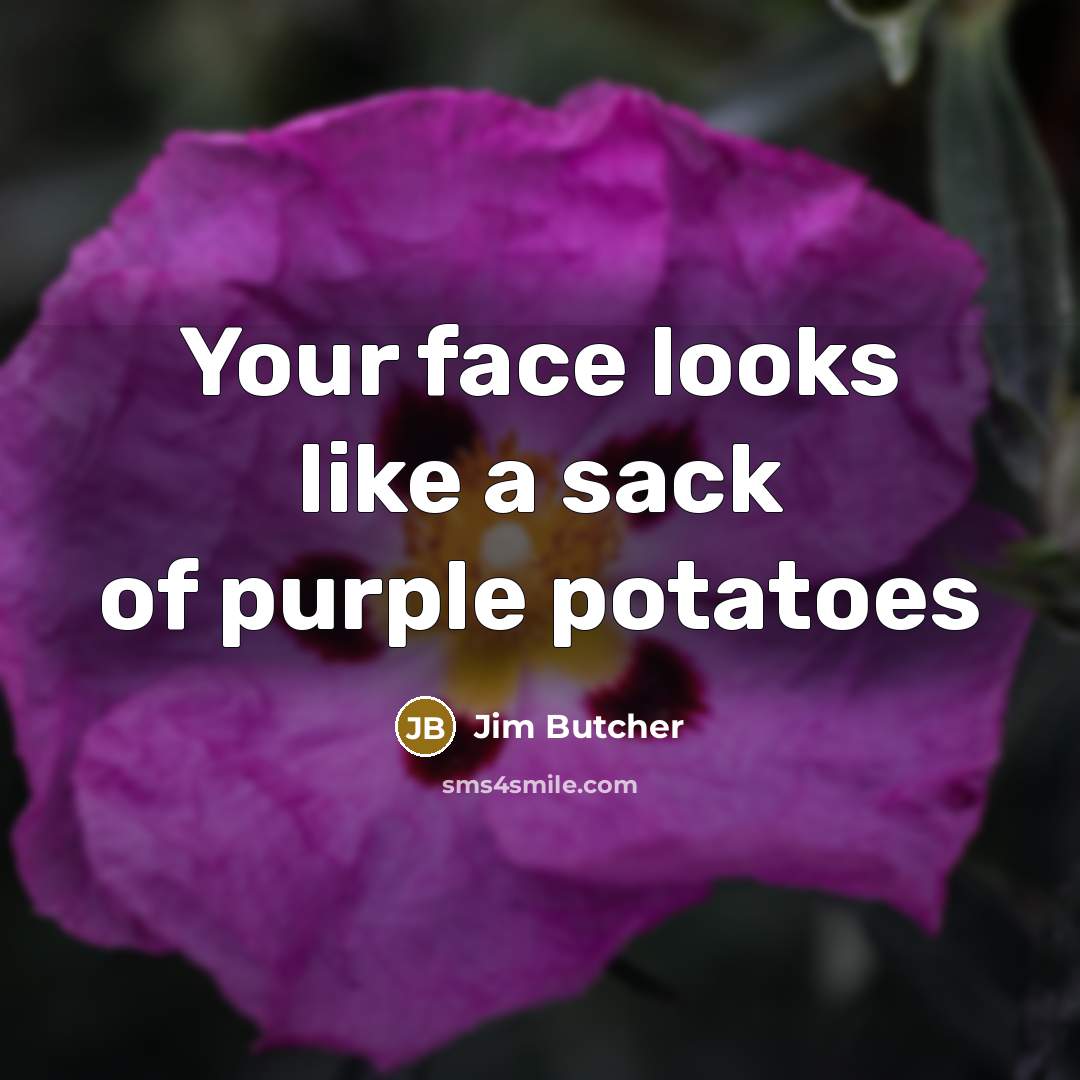 “Your face looks like a sack of purple potatoes…” quote by Jim Butcher