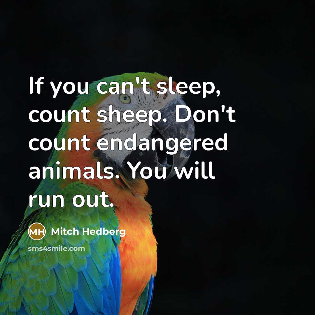 “If you can't sleep, count sheep. Don't count endangered animals.…” quote by Mitch Hedberg