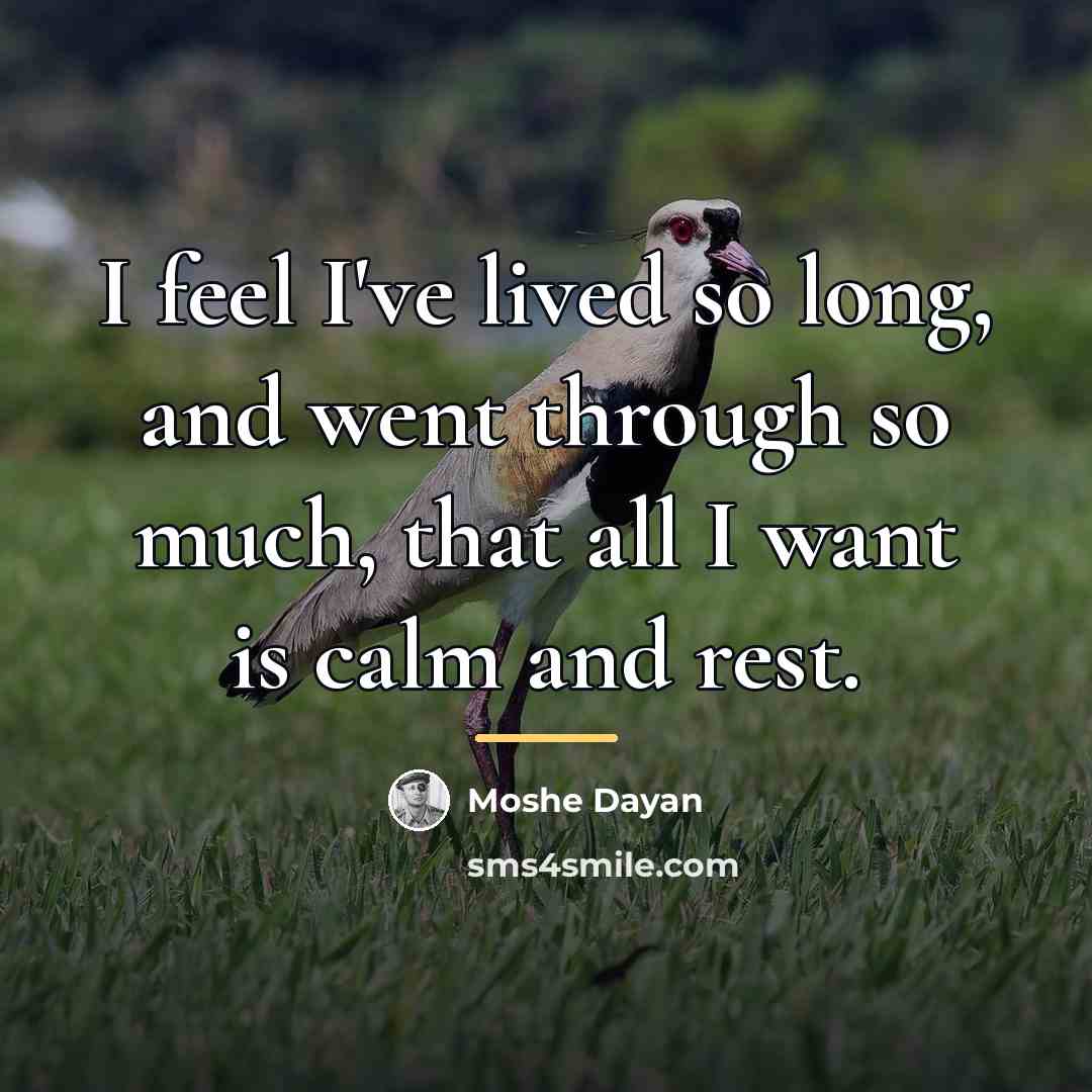 “I feel I've lived so long, and went through so…” quote by Moshe Dayan