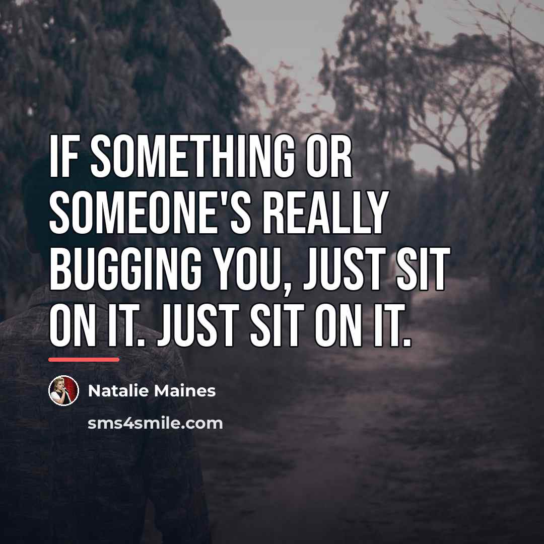 “If something or someone's really bugging you, just sit on…” quote by Natalie Maines