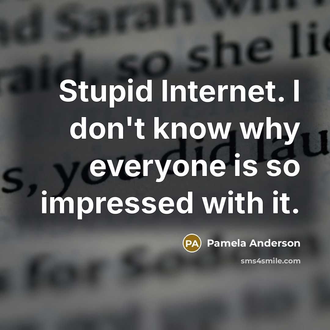 “Stupid Internet. I don't know why everyone is so impressed…” quote by Pamela Anderson