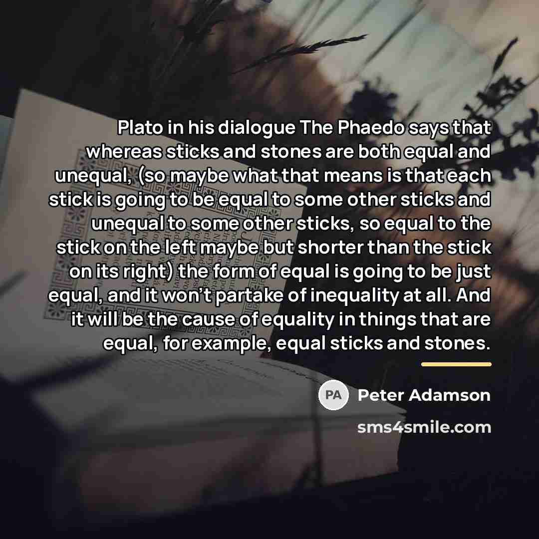 “Plato in his dialogue The Phaedo says that whereas sticks…” quote by Peter Adamson