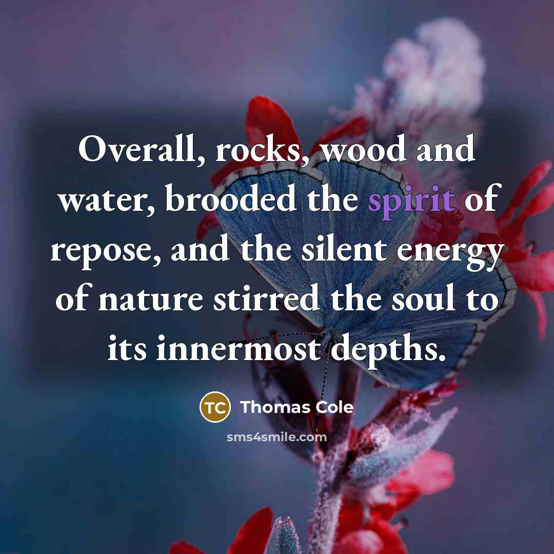“Overall, rocks, wood and water, brooded the spirit of repose,…” quote by Thomas Cole