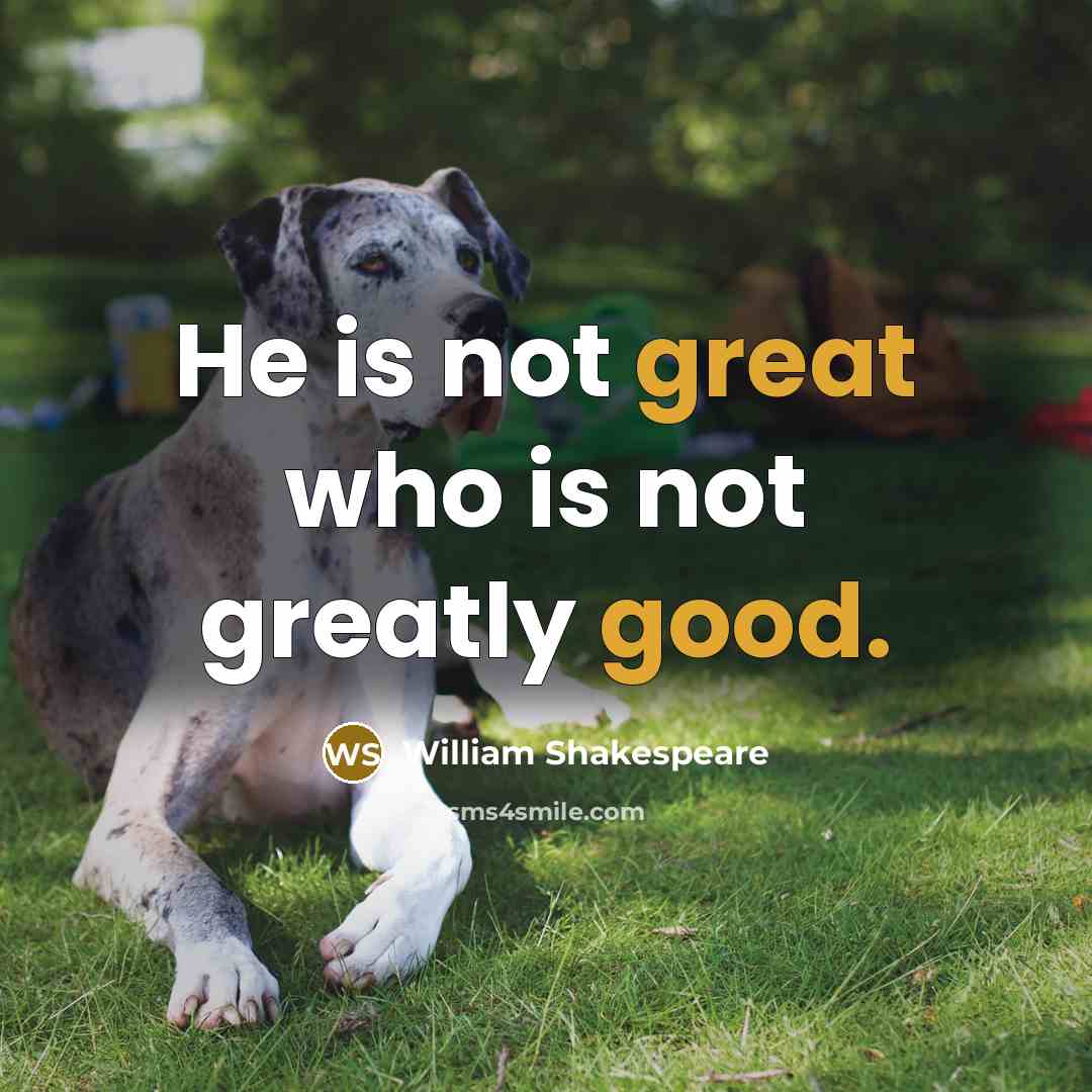 “He is not great who is not greatly good.” quote by William Shakespeare