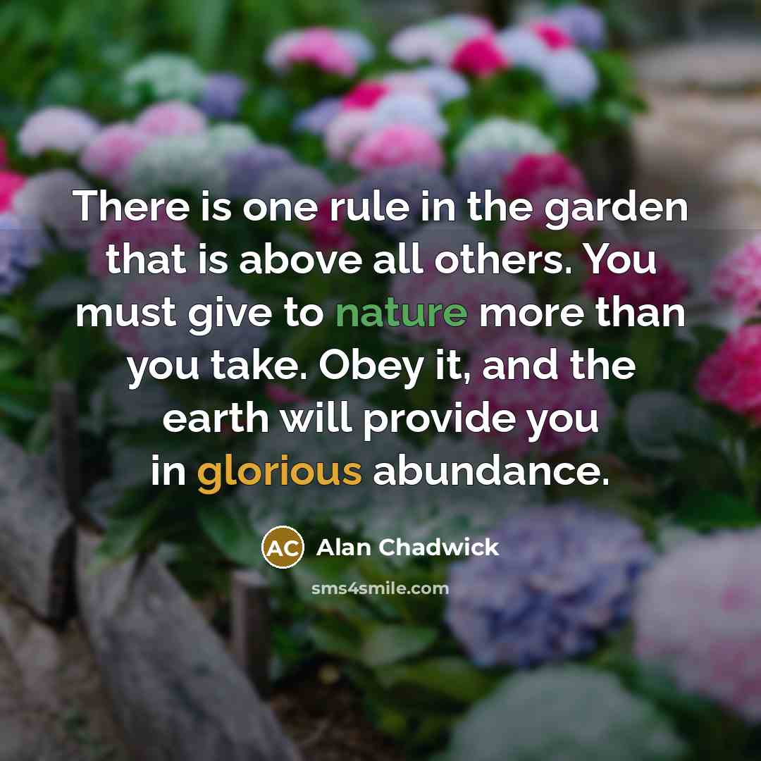 “There is one rule in the garden that is above…” quote by Alan Chadwick