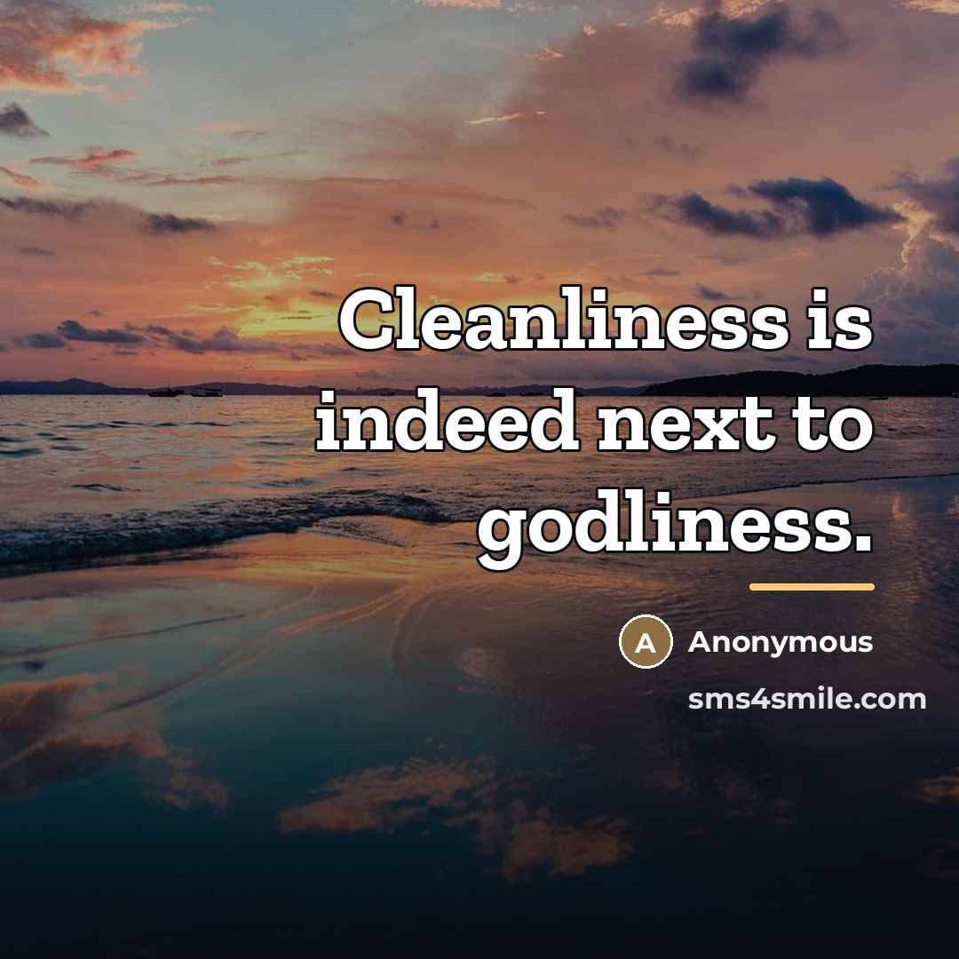 “Cleanliness is indeed next to godliness.…” quote by Anonymous