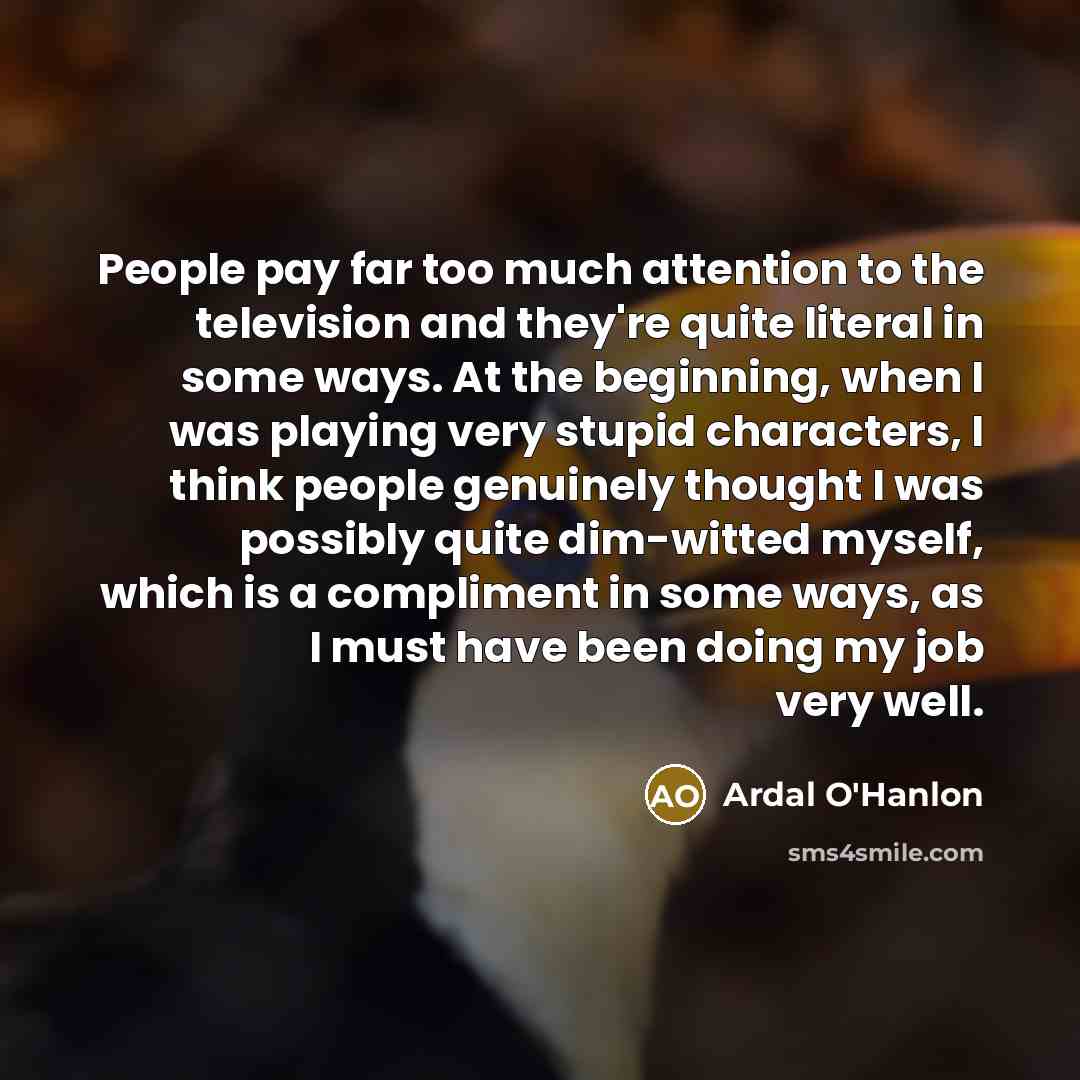 “People pay far too much attention to the television and…” quote by Ardal O'Hanlon