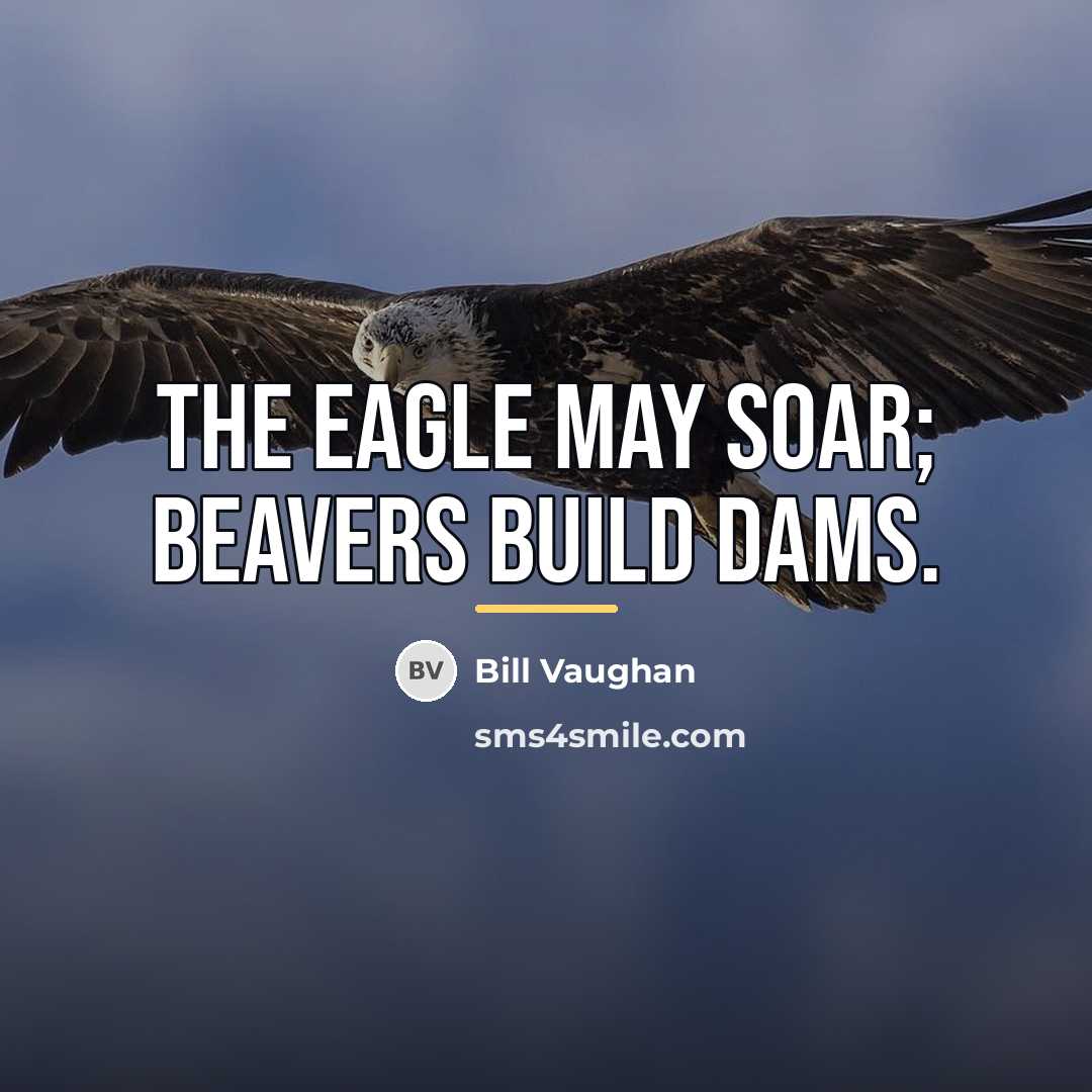 “The eagle may soar; beavers build dams.…” quote by Bill Vaughan