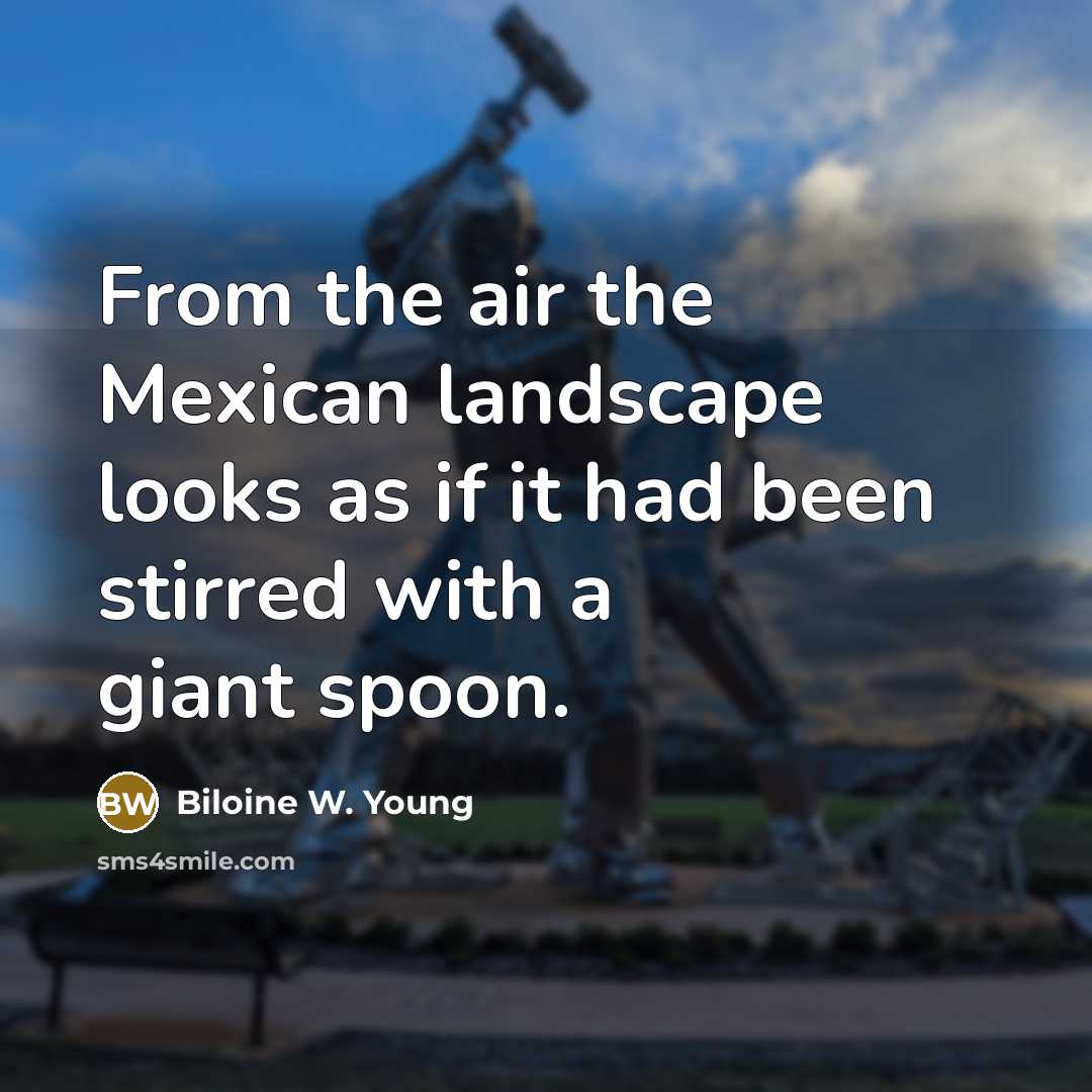 “From the air the Mexican landscape looks as if it…” quote by Biloine W. Young