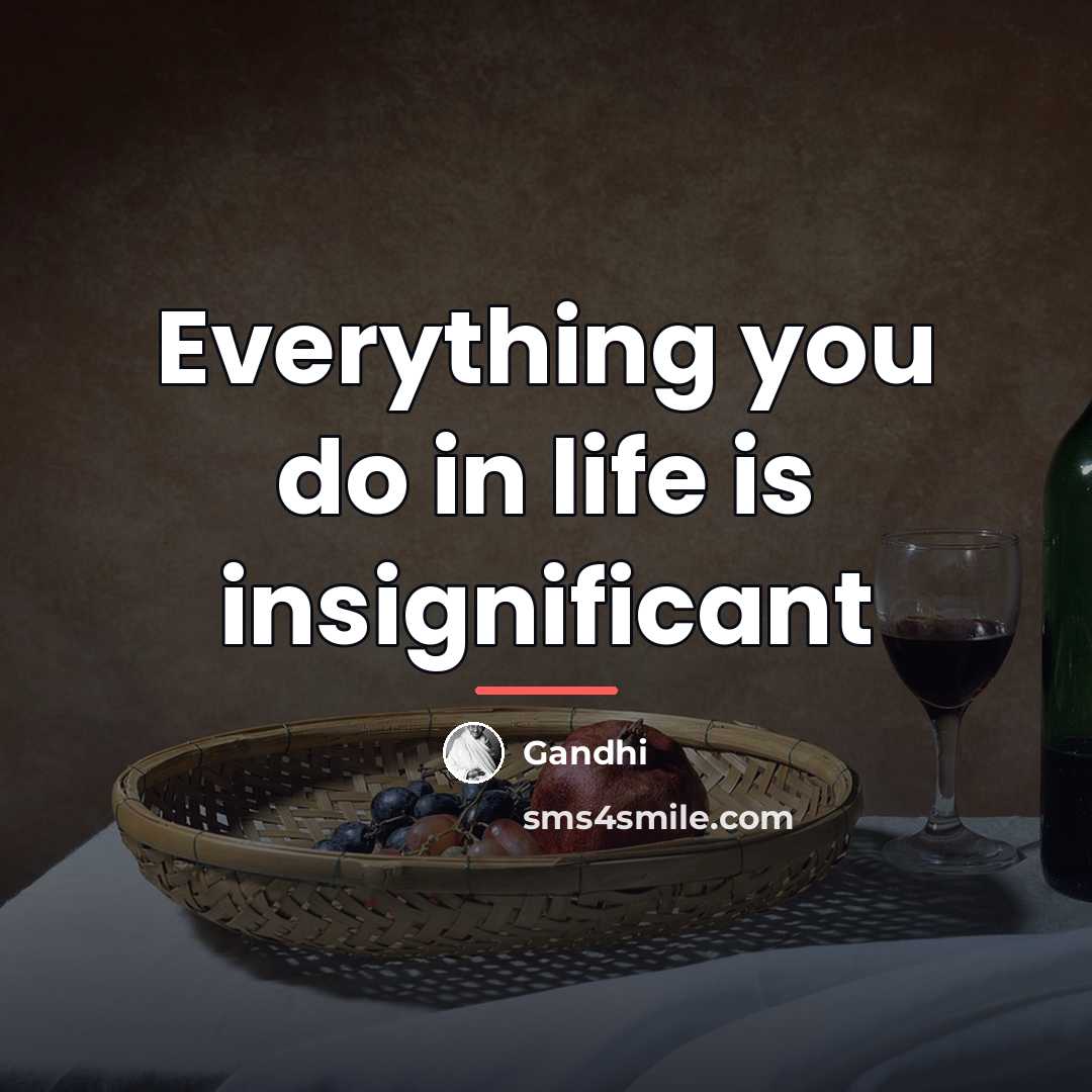 “Everything you do in life is insignificant…” quote by Gandhi