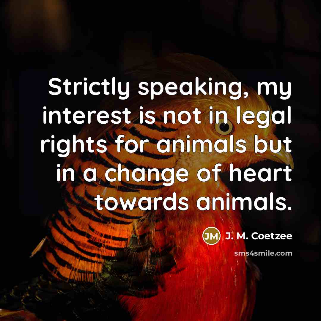 “Strictly speaking, my interest is not in legal rights for…” quote by J. M. Coetzee